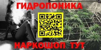СК Тверь