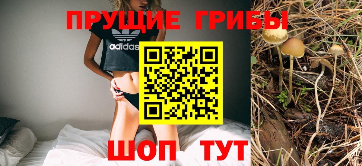 Боровичи  Галлюциногенные грибы Psilocybine cubensis  Вход с VPN 