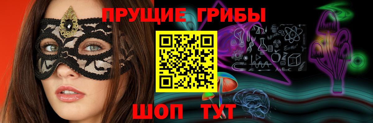 Псилоцибиновые грибы Psilocybe Боровичи